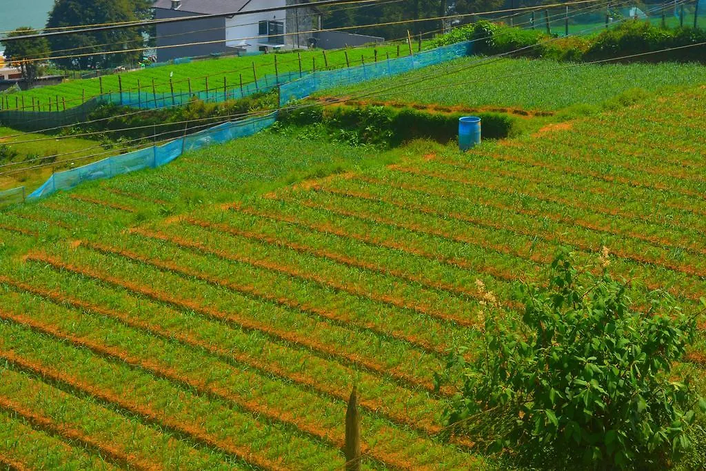 Guest House Hill Paradise Nuwara Eliya